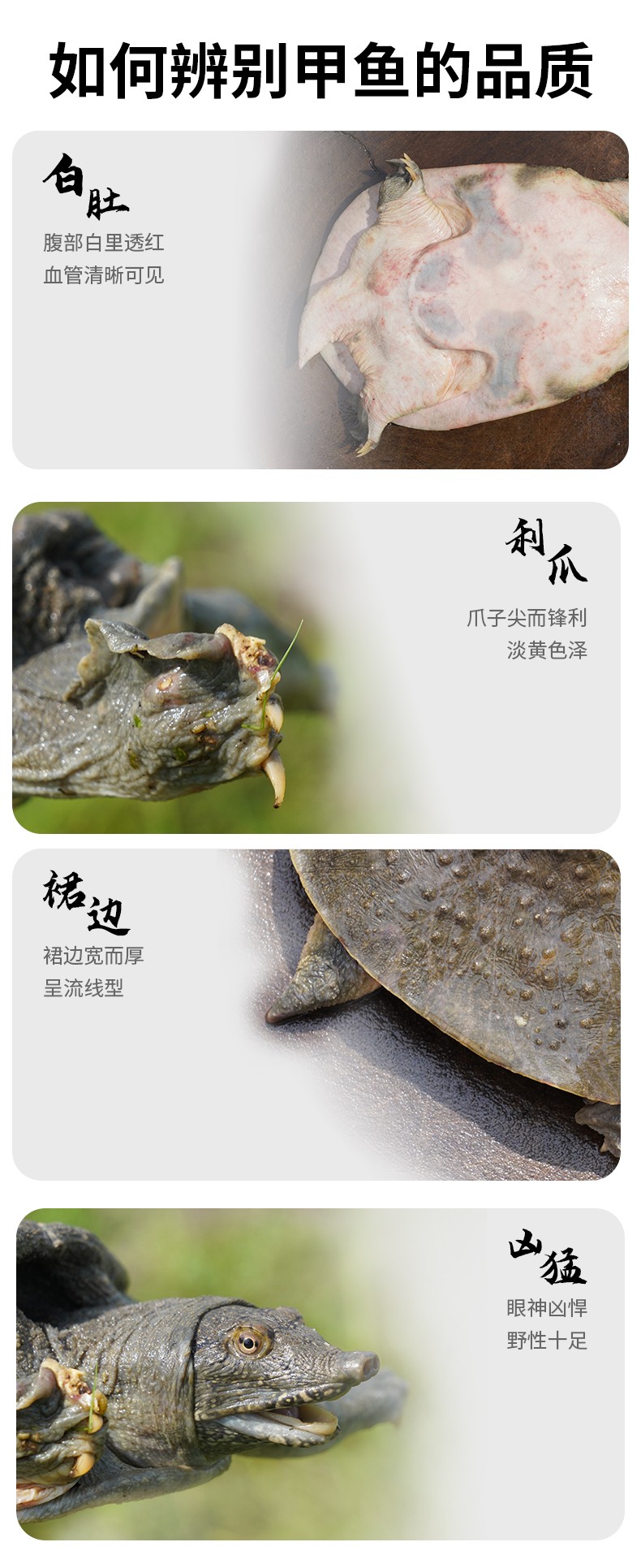 和萬(wàn)安|生態(tài)農(nóng)業(yè)|有機(jī)食品|綠色食品|稻田共養(yǎng)