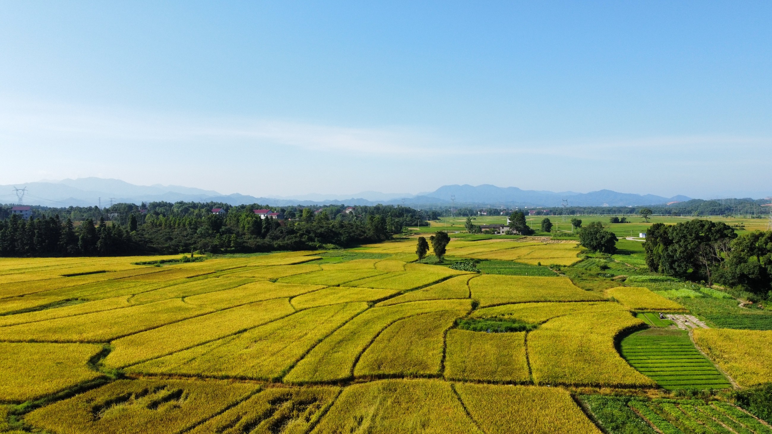 和萬安|生態(tài)農(nóng)業(yè)|有機(jī)食品|綠色食品|稻田共養(yǎng)