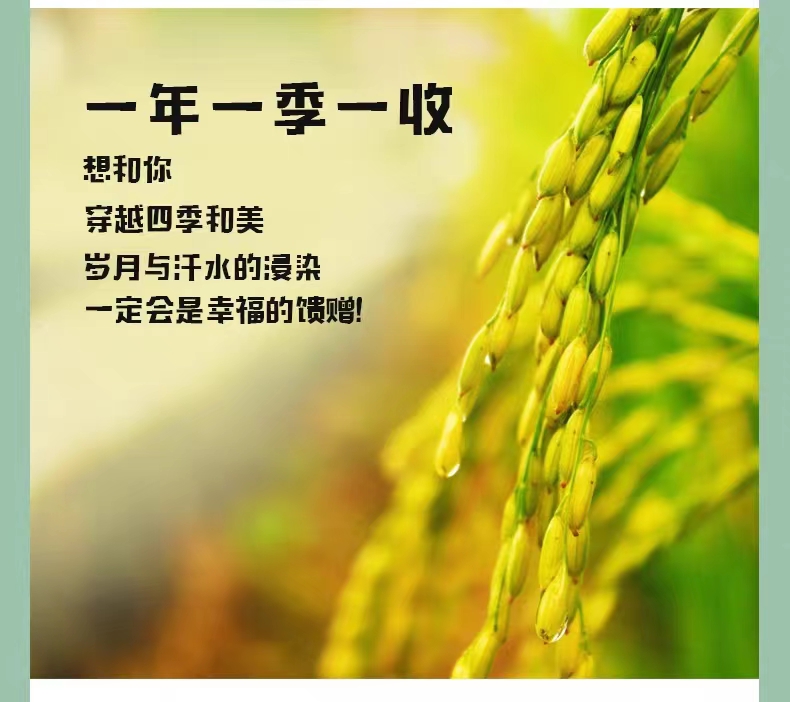 和萬安|生態農業|有機食品|綠色食品|稻田共養