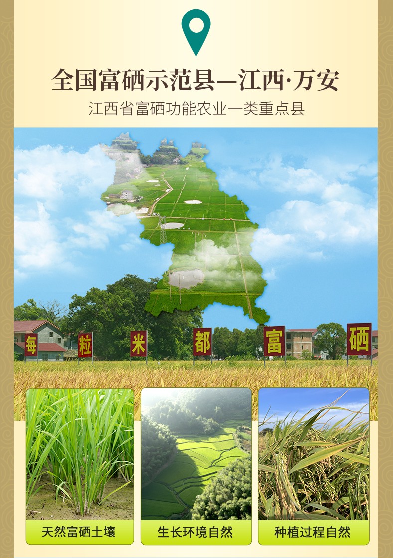 和萬安|生態農業|有機食品|綠色食品|稻田共養