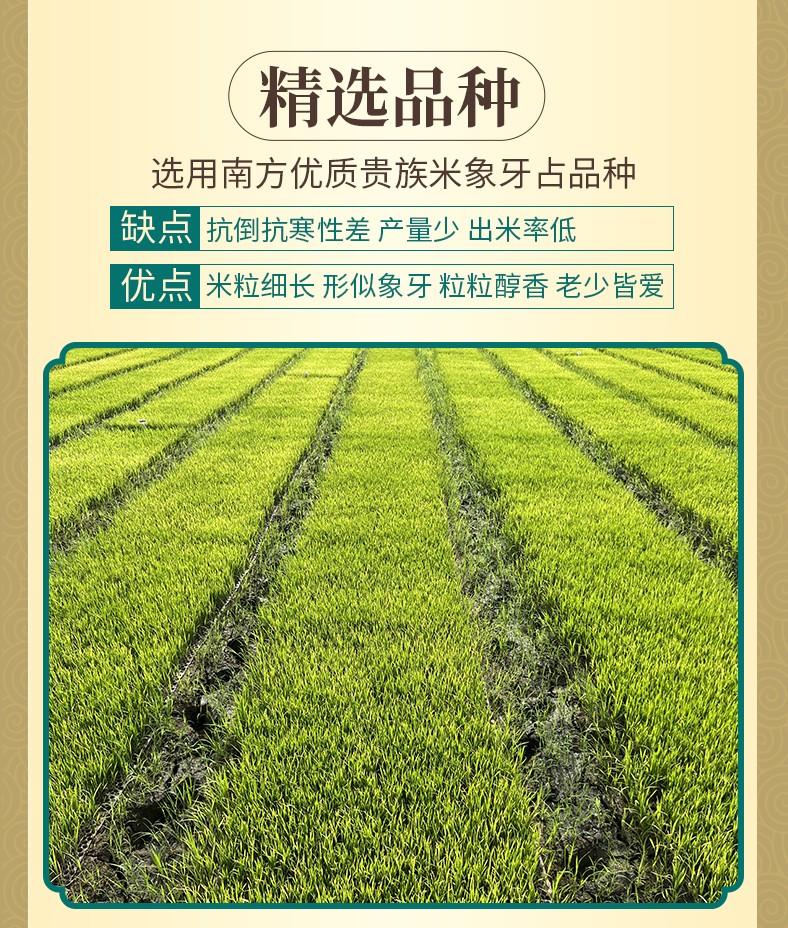 和萬安|生態農業|有機食品|綠色食品|稻田共養