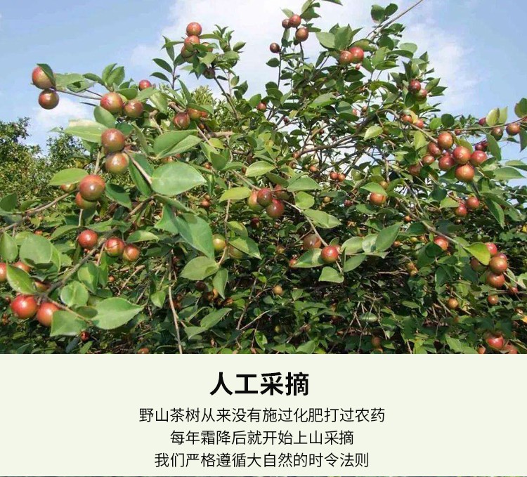 和萬安|生態農業|有機食品|綠色食品|稻田共養