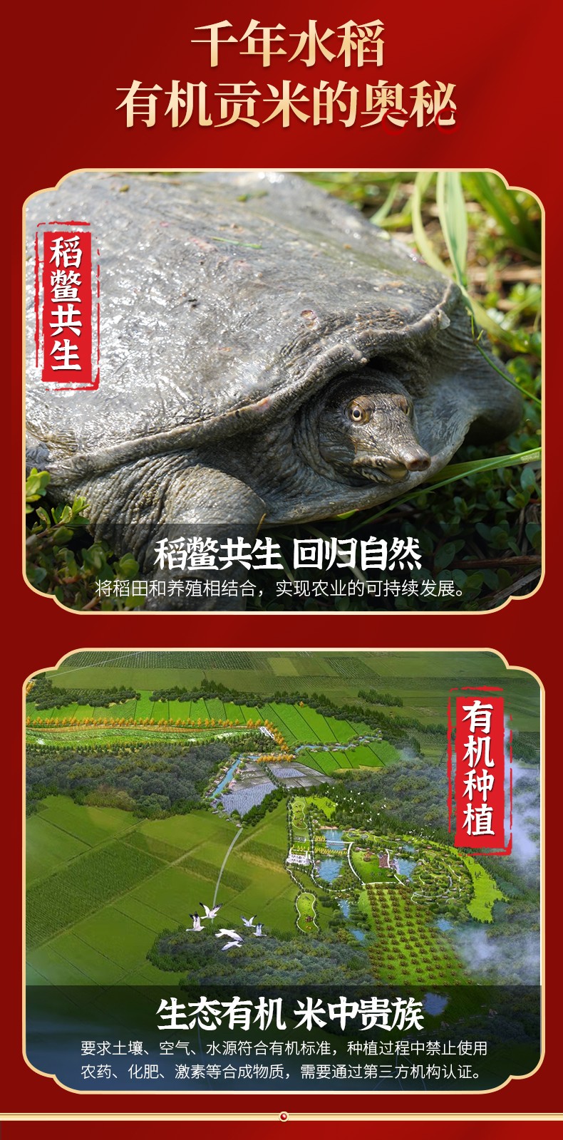 和萬安|生態(tài)農(nóng)業(yè)|有機食品|綠色食品|稻田共養(yǎng)