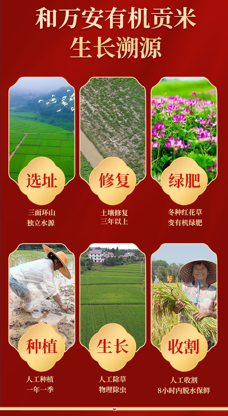 和萬安|生態(tài)農(nóng)業(yè)|有機食品|綠色食品|稻田共養(yǎng)