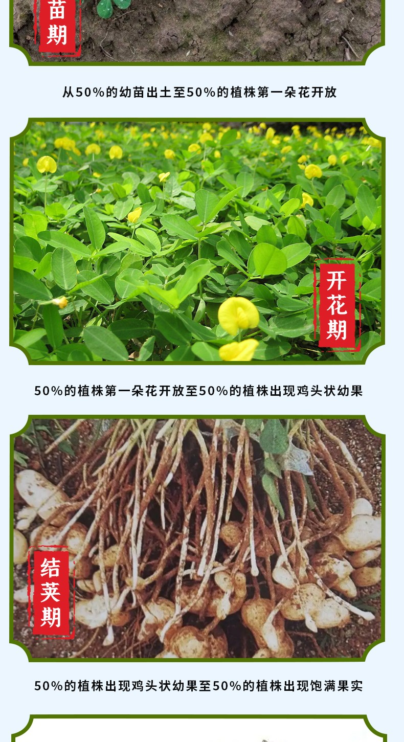 和萬安|生態(tài)農業(yè)|有機食品|綠色食品|稻田共養(yǎng)